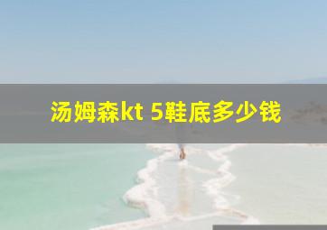 汤姆森kt 5鞋底多少钱